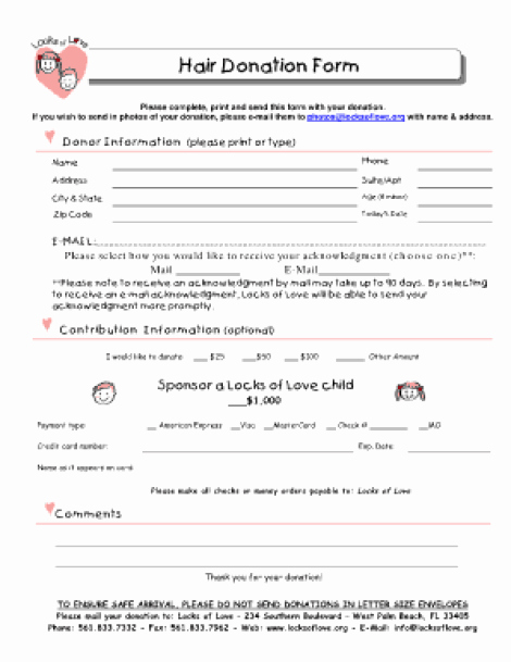 Donation form Template Free Awesome 36 Free Donation form Templates In Word Excel Pdf