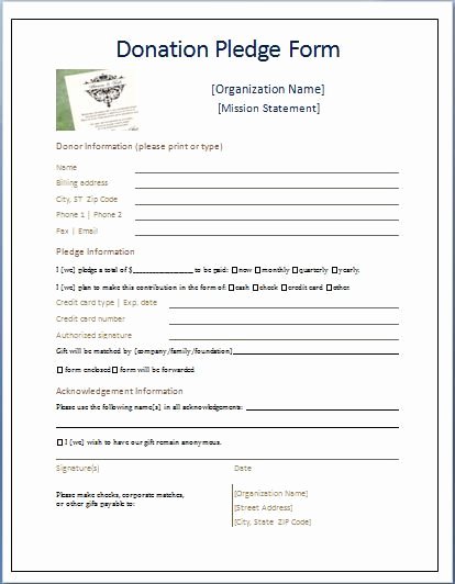 Donation form Template Free Fresh Sample Donation Pledge form