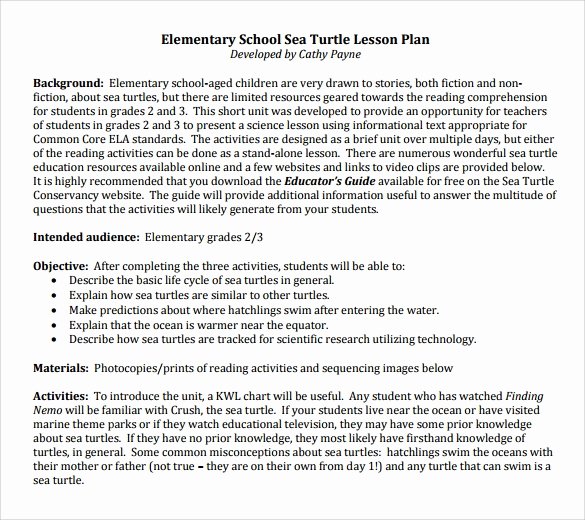 Elementary School Lesson Plans Template Best Of Sample Elementary Lesson Plan 9 Documents In Pdf