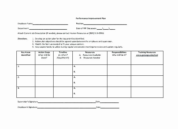 Employee Improvement Plan Template Unique Performance Improvement Plan Example Template