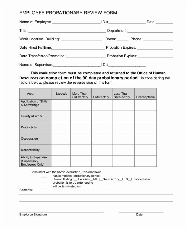 Employee Review form Template Unique Sample Employee Review form 7 Examples In Pdf Word