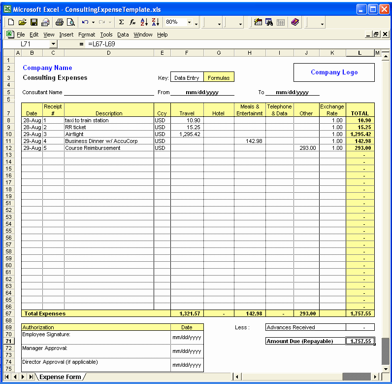 Expense form Template Excel Best Of Excel Template Expenses
