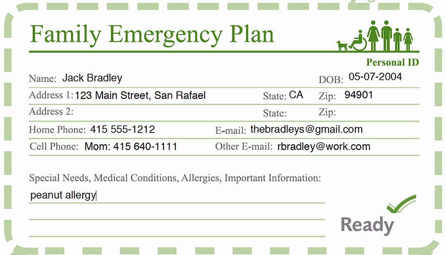 Family Disaster Plan Template Best Of Cover Template Category Page 1 Spelplus