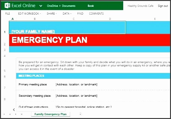 Family Emergency Preparedness Plan Template Unique 7 Family Emergency Plan Editable Sampletemplatess