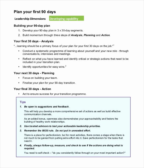 First 90 Days Plan Template Best Of 37 30 60 90 Day Plan Templates Word Pages Pdf Google