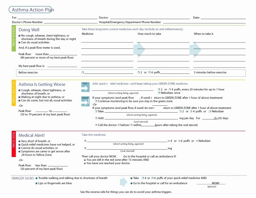 Free Action Plan Template Fresh 45 Free Action Plan Templates Corrective Emergency