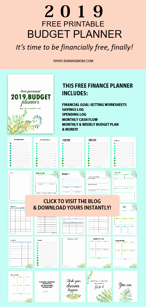 Free Budget Planner Template Awesome the Best Free Bud Planner to Use In 2019