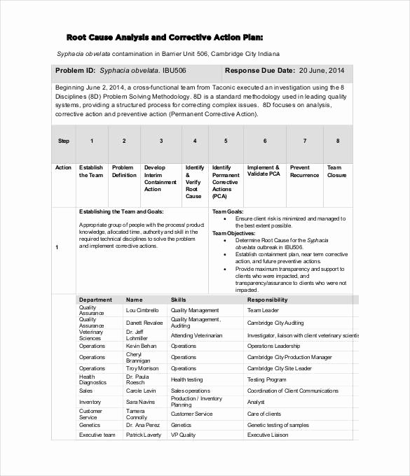 Free Corrective Action Plan Template Beautiful Corrective Action Plan Template 22 Free Word Excel