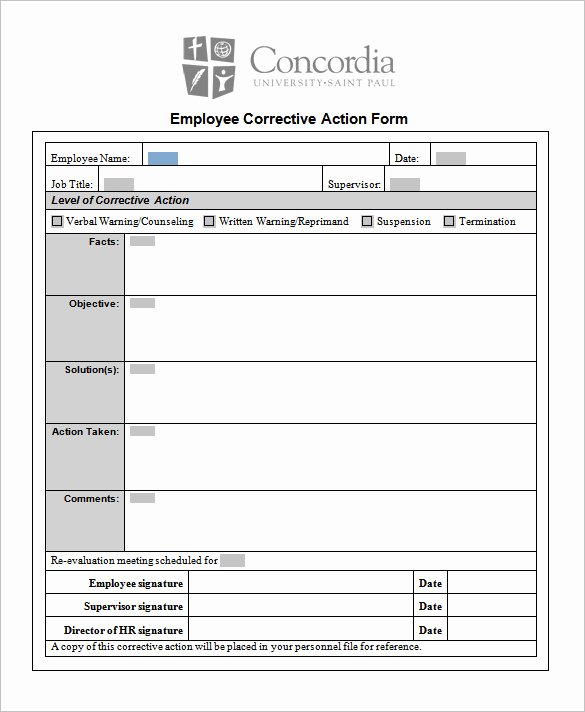 Free Corrective Action Plan Template Inspirational Employee Corrective Action Plan form Template Example with