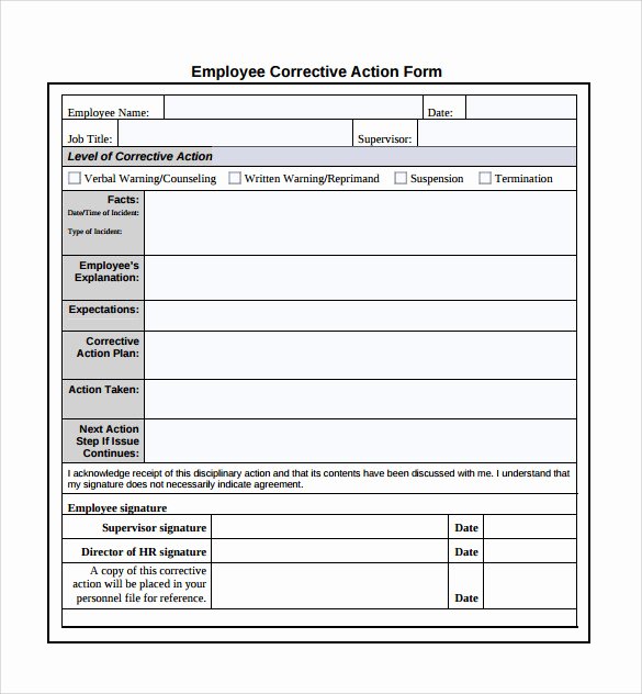 Free Corrective Action Plan Template New Sample Corrective Action Plan Template 14 Documents In
