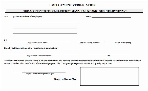 Free Employee Verification form Template Inspirational 9 Employment Verification form Download for Free