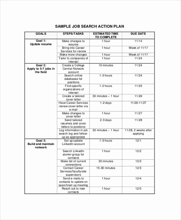 Goal Action Plan Template Best Of Sample Action Plans 46 Examples In Pdf Word