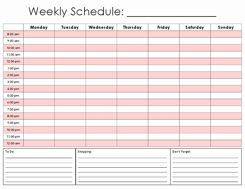 Half Hour Schedule Template Beautiful 28 Of Half Hourly Daily Planner Template