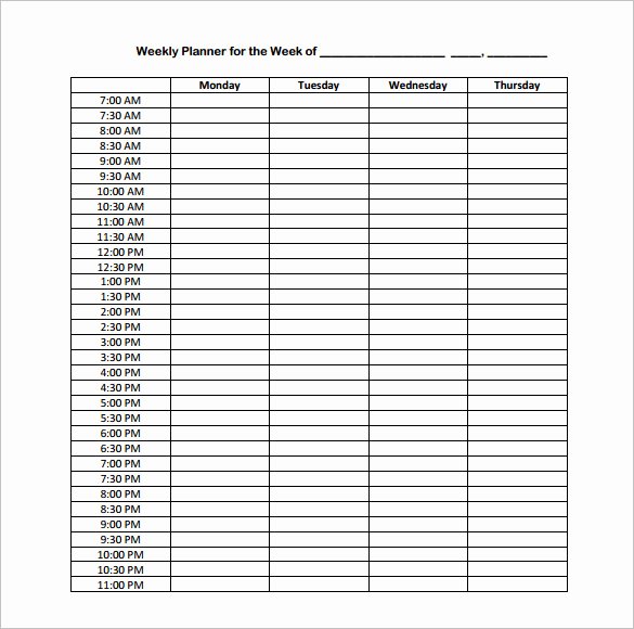 Half Hour Schedule Template Best Of Hourly Schedule Template