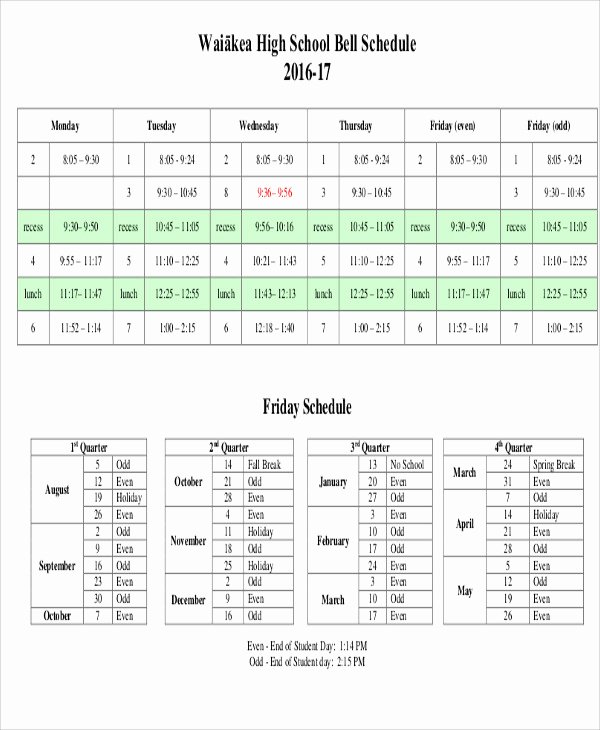 High School Schedule Template Awesome School Schedule Template 11 Free Samples Examples