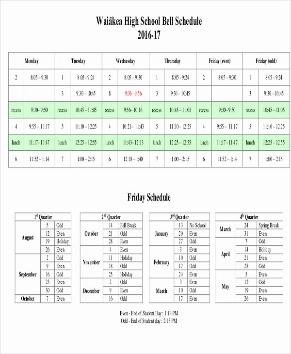 High School Schedule Template Awesome School Schedule Template 11 Free Samples Examples