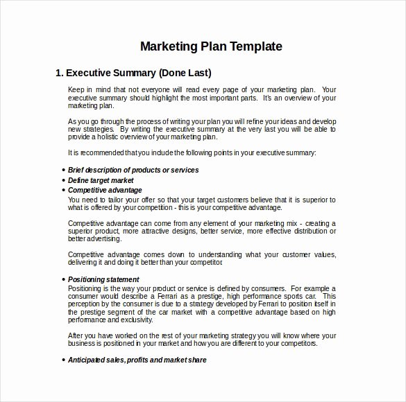 Hotel Marketing Plan Template Inspirational 9 Financial Adviser Marketing Plan Examples Pdf