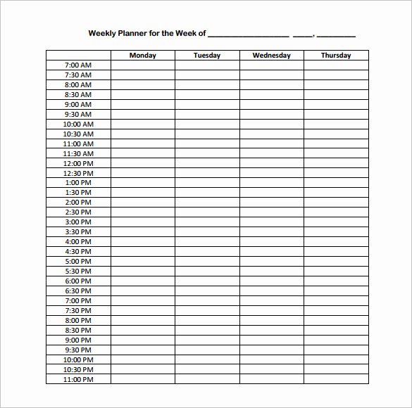 Hour by Hour Schedule Template Beautiful Hourly Schedule Template 34 Free Word Excel Pdf