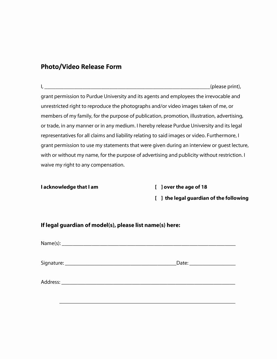 Information Release form Template Best Of 53 Free Release form Templates [word Pdf]