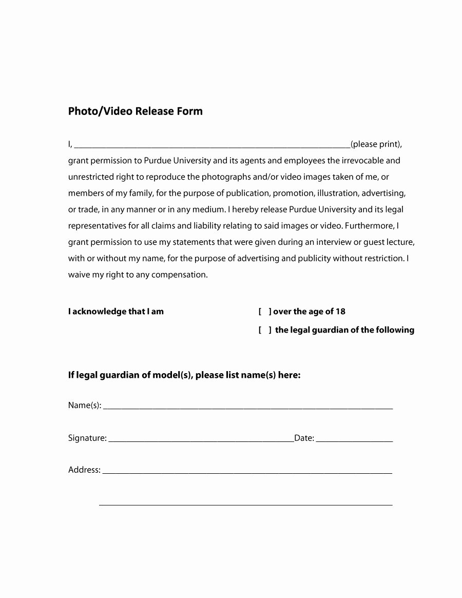 Information Release form Template Best Of 53 Free Release form Templates [word Pdf]