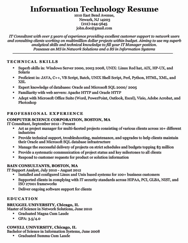 Information Technology Resume Template Beautiful Download Resume 12 Free Microsoft Office Docx