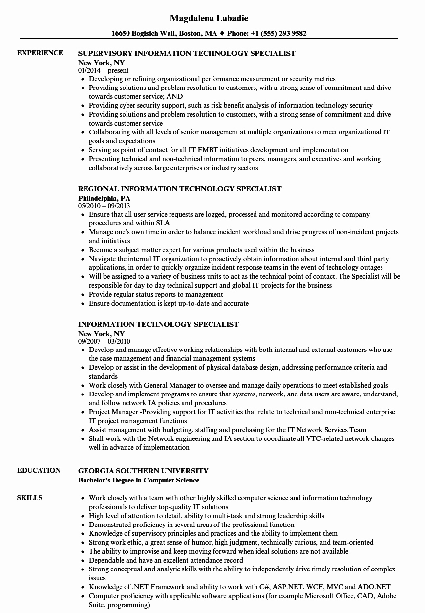 Information Technology Resume Template Best Of Information Technology Specialist Resume Samples