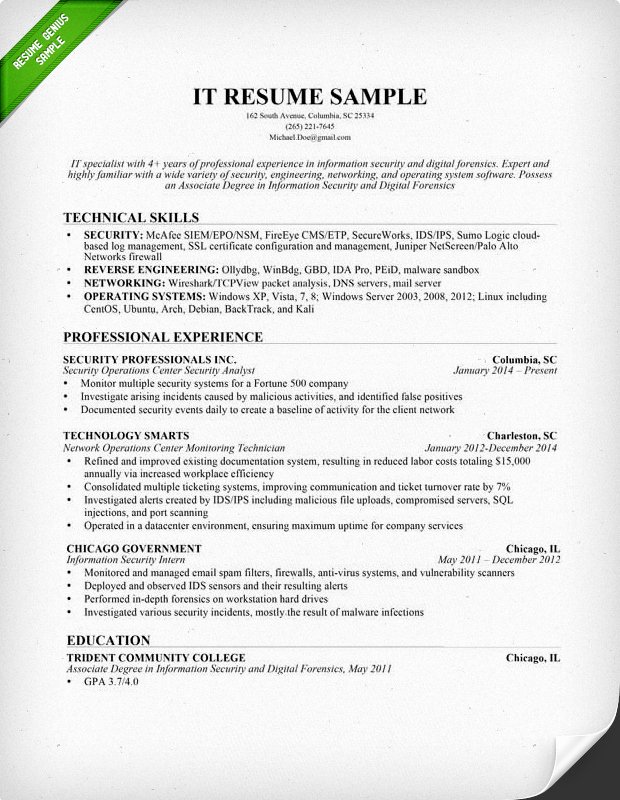 Information Technology Resume Template Elegant Information Technology It Resume Sample