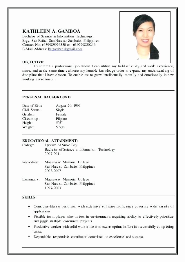 Information Technology Resume Template Inspirational Information Technology Resume – Wikirian