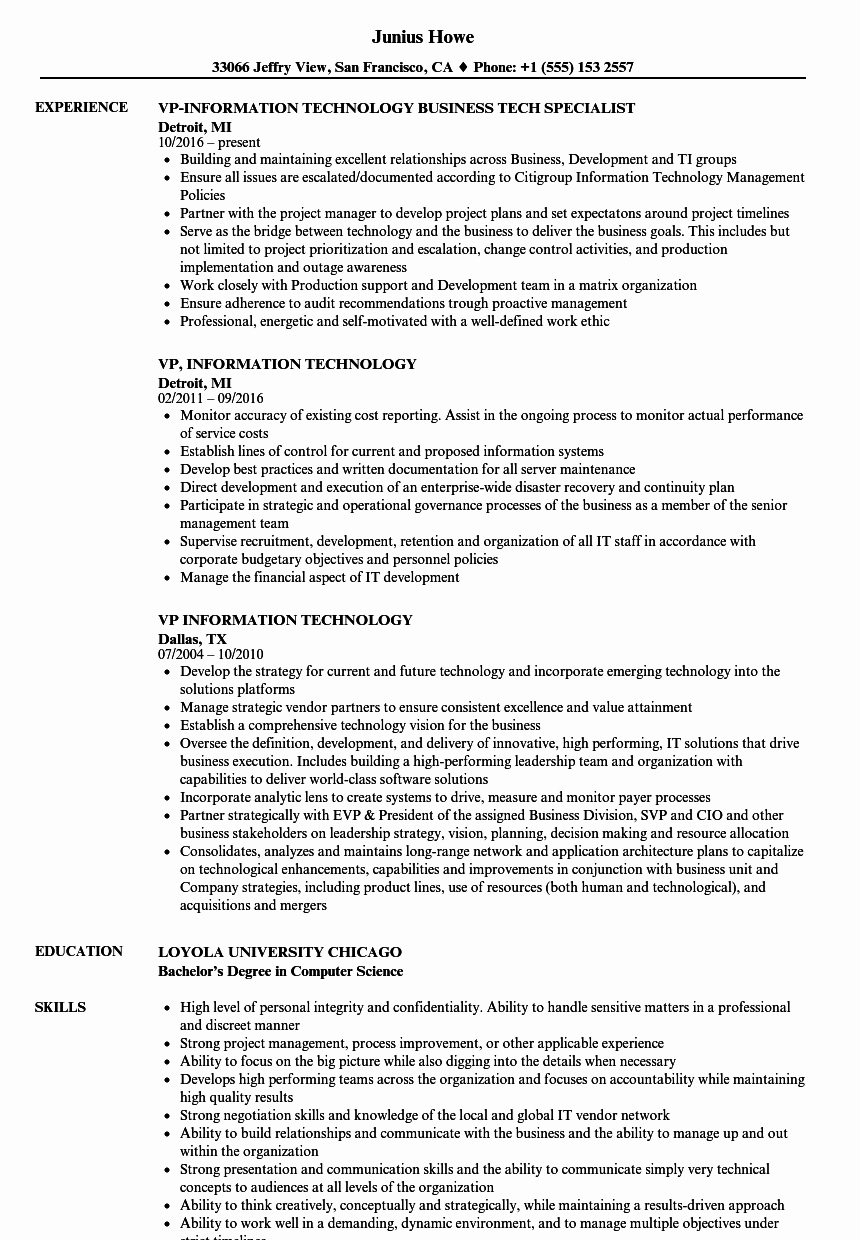 vp information technology resume sample