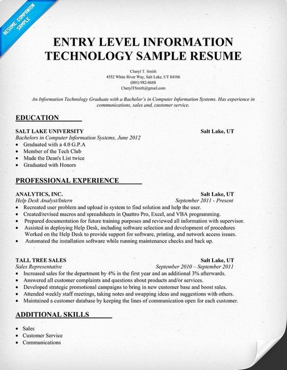 Information Technology Resume Template Luxury Resume Technology and Entry Level On Pinterest