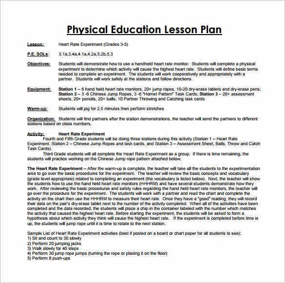 Lesson Plan Template Nyc Awesome 7 Physical Education Lesson Plan Templates Word Apple