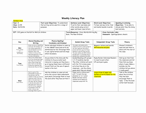 Literacy Lesson Plan Template Fresh Weekly Literacy Plan Reception by Gina G Teaching