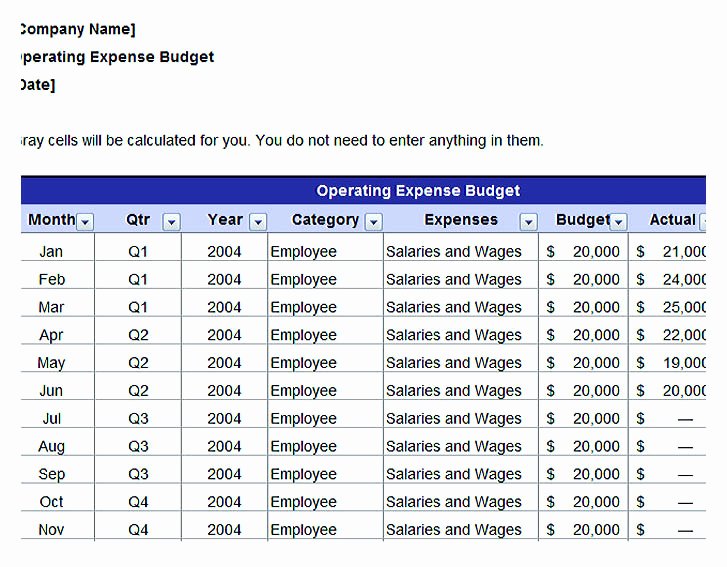 Marketing Plan Budget Template Beautiful Using the Marketing Bud Template to Align the Bud