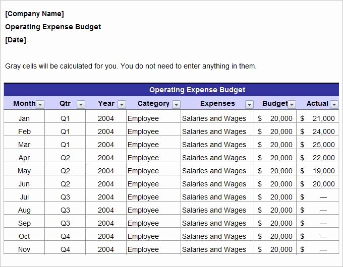 Marketing Plan Budget Template Fresh Annual Operating Marketing Bud Plan Template