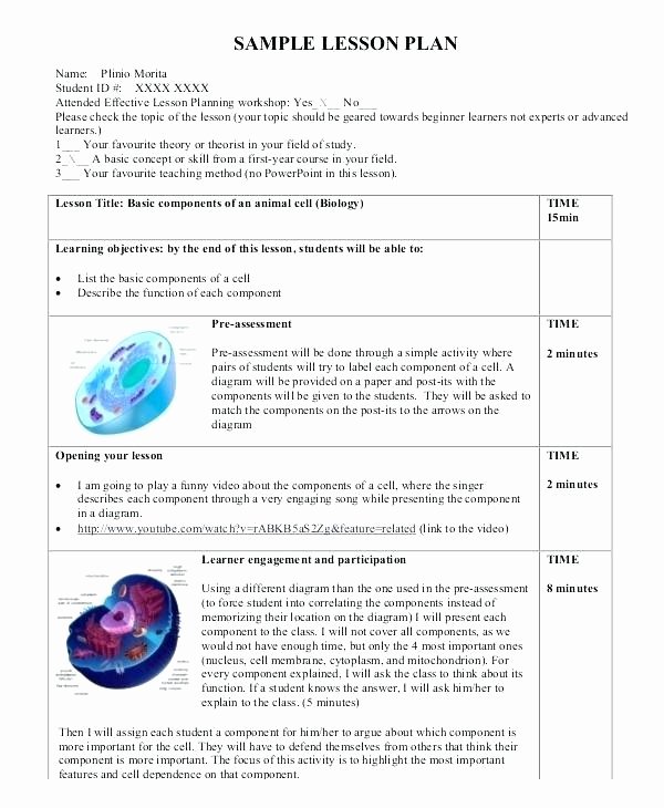 Marzano Lesson Plan Template Doc Elegant Template for Lesson Plans Best Plan It Lesson Plans