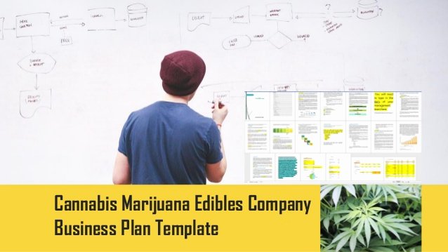 Medical Marijuana Business Plan Template Awesome Cannabis Edibles Pany Business Plan Template