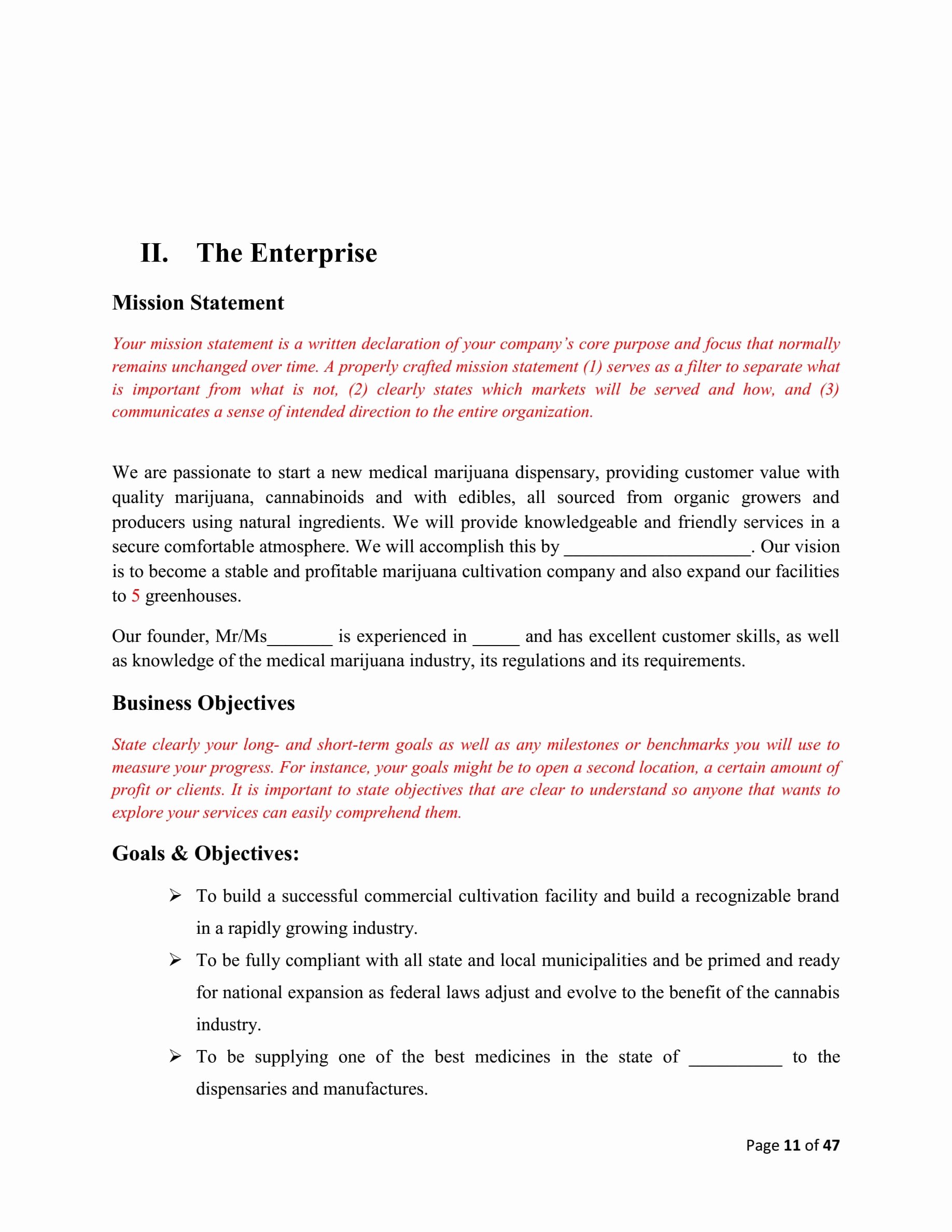 medical with grow business plan template sample pages