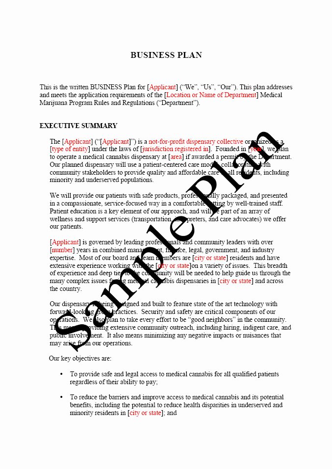 Medical Marijuana Business Plan Template Inspirational Free Printable Business Plan Sample form Generic