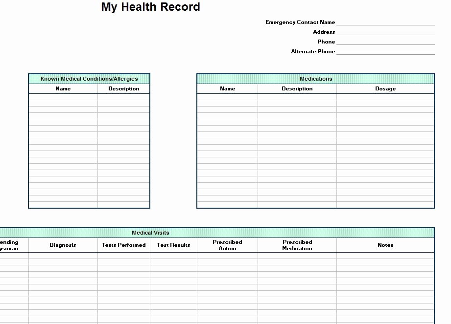 Medical Record forms Template Lovely Personal Health Record Template