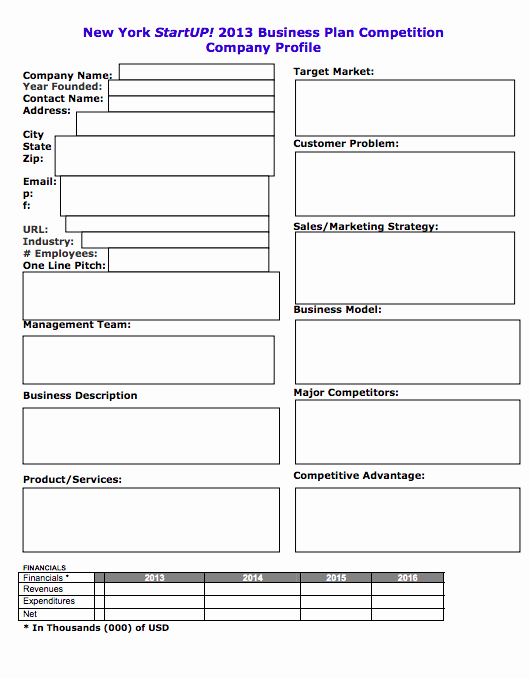 Mini Business Plan Template Fresh Free Simple Business Plan Template