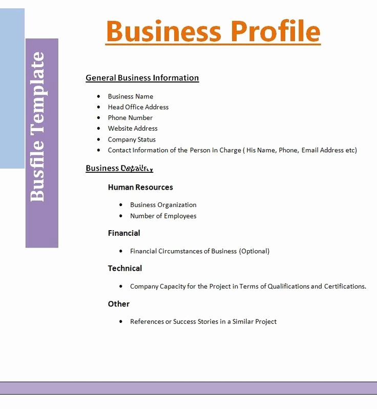 Mini Business Plan Template Inspirational Contoh Business Plan Powerpoint Contoh Raffa