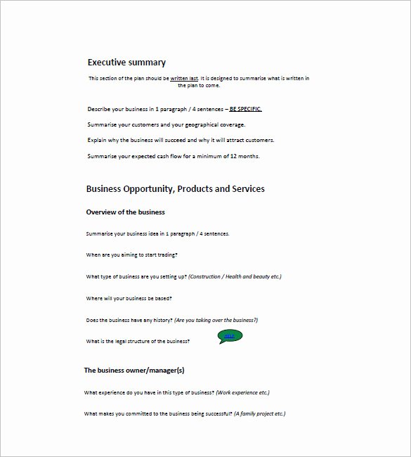 Mini Business Plan Template Lovely Small Business Plan Template 18 Word Excel Pdf Google