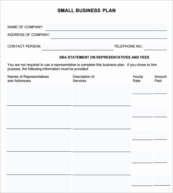 Mini Business Plan Template New Free 18 Sample Small Business Plans In Google Docs