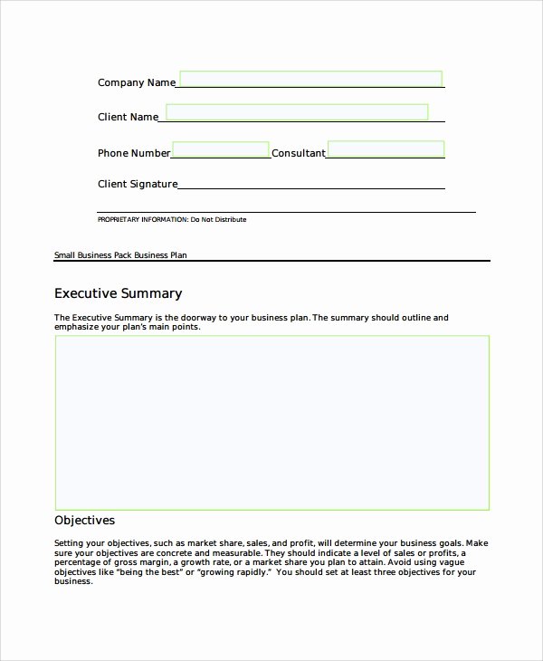 Mini Business Plan Template New Sample Short Business Plan Template 7 Free Documents