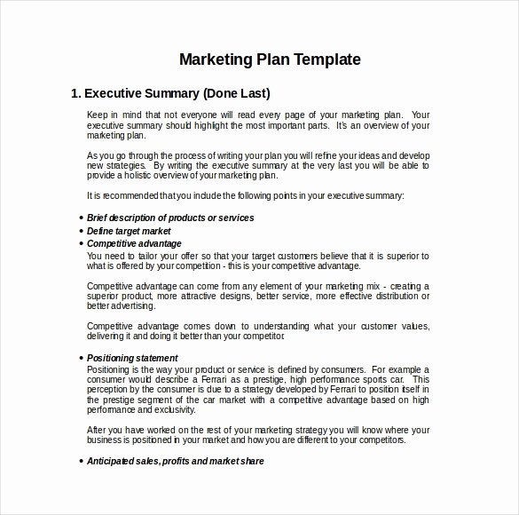 Mini Business Plan Template Unique Business Plan Template Word Doc Erreport269 Web Fc2