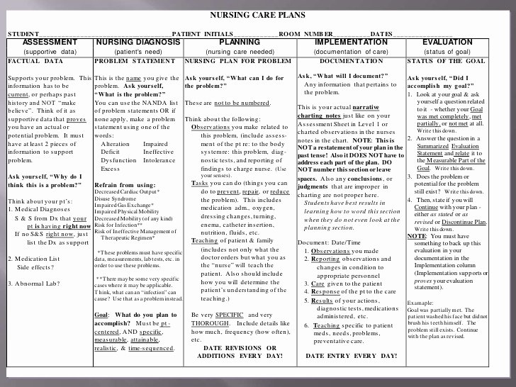 Nursing Education Plan Template Awesome Nursing Care Plan Ppt Final Draft