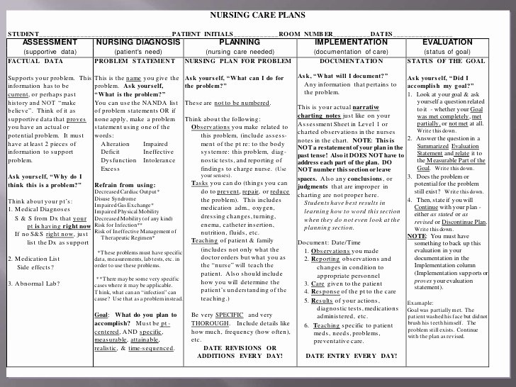 Nursing Education Plan Template Awesome Nursing Care Plan Ppt Final Draft