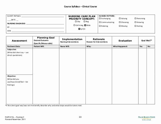 Nursing Education Plan Template Beautiful Image Result for Blank Nursing Care Plan Templates