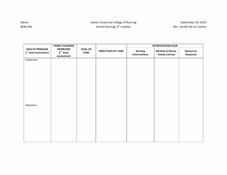 Nursing Education Plan Template Beautiful Ncp format