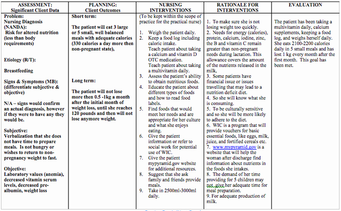 Nursing Education Plan Template Best Of Nursing Care Plan for Postpartum Patients